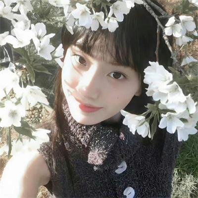 夏日秘密 第二季
